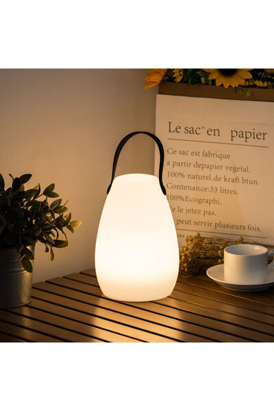 OEM Lighting - White