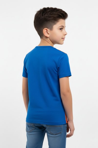 Vaxy Style Boys' Crew Neck Relax Fit Cotton Rainbow Friends Characters Printed Color T-Shirt