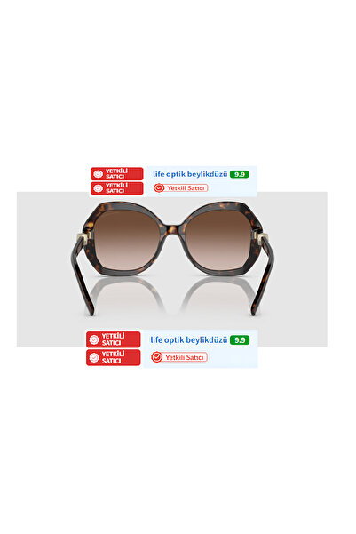 Giorgio Armani 8180 5026/13 54 19 140 3N