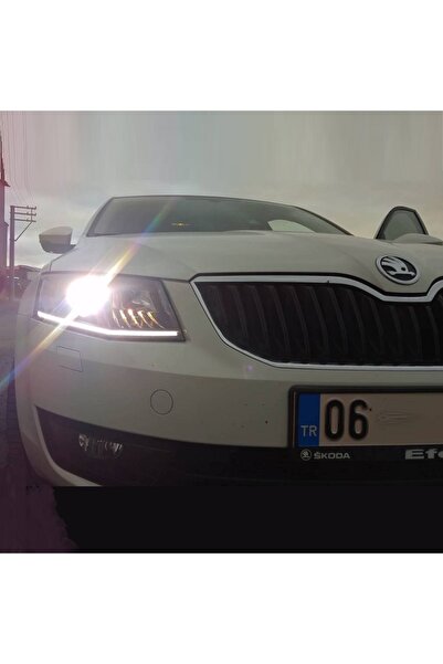 Skygarage Skoda Octavia 3 D3S Xenon Oto Ampulü 4300K