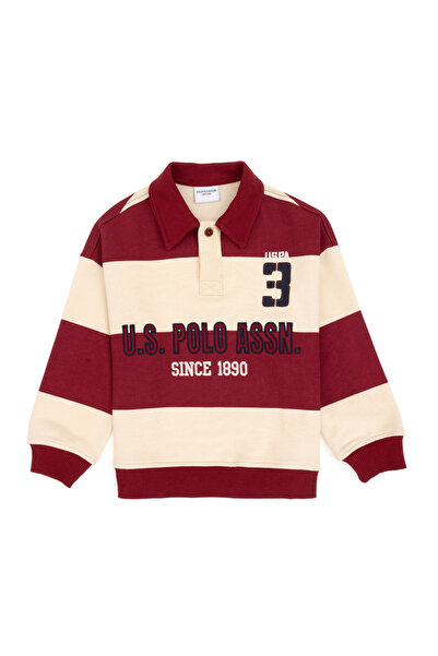 U.S. Polo Assn. Boy's Dark Raspberry Polo Neck Sweatshirt 50308585-Vr104