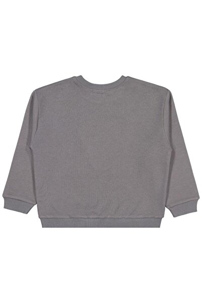 Civil Boys Lion Embroidered 6-9 Years Old Sweatshirt - Gray 6-7 Years Old