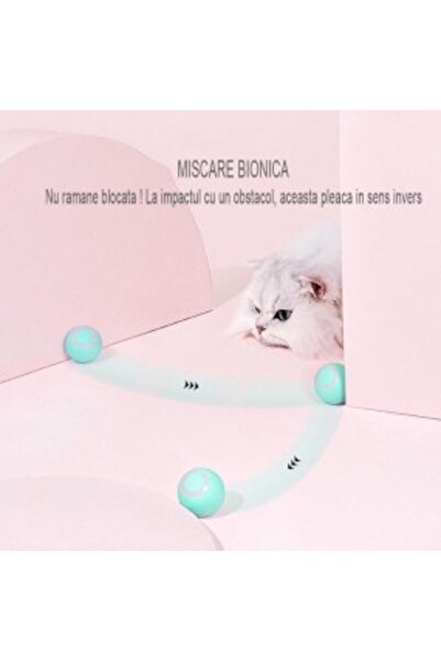 All4Get Minge Interactiva pisici