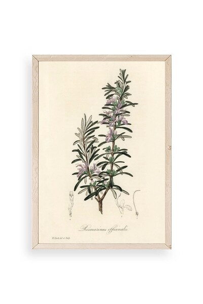 CT STONES Leaf Wooden Framed Table