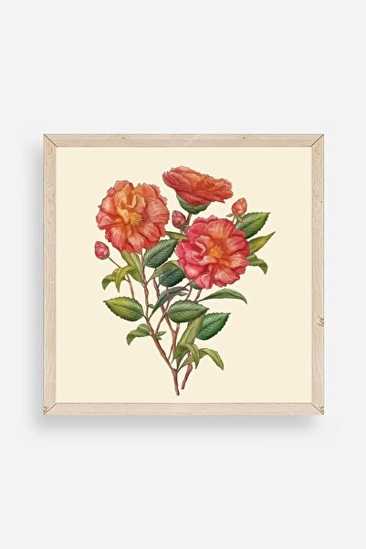 CT STONES Flower Wooden Framed Painting