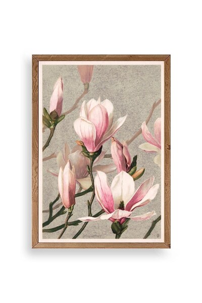 CT STONES Magnolia Flowers Wooden Framed Painting