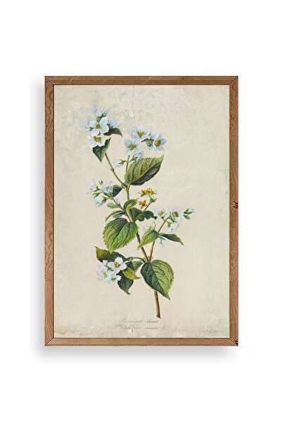 CT STONES Flower Wooden Framed Painting