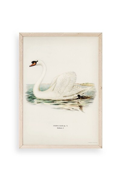 Twin Store Swan Wooden Framed Painting