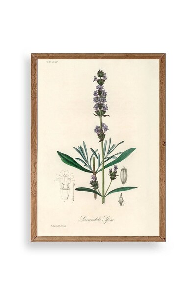 CT STONES Leaf Wooden Framed Table