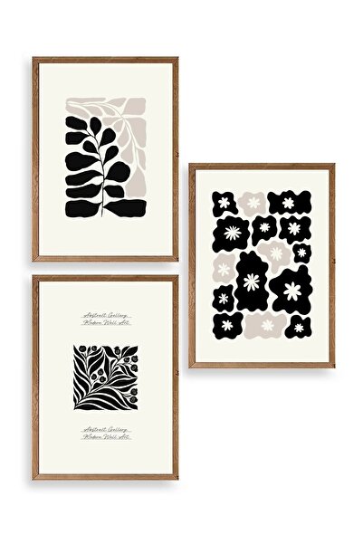 CT STONES Modern Triple Wooden Framed Painting