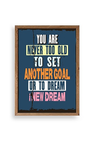 CT STONES Motto Wooden Framed Painting