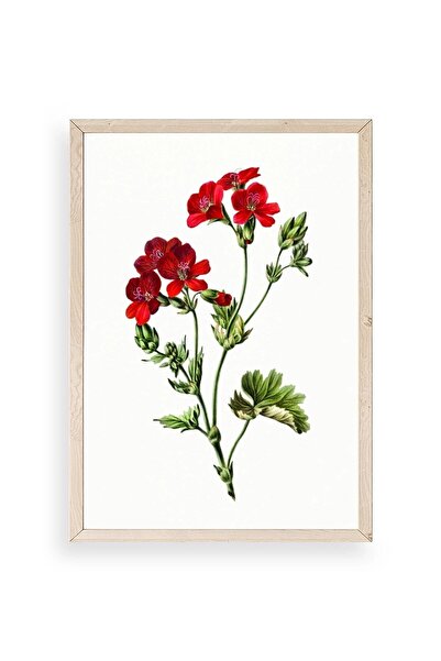 CT STONES Flowers Wooden Framed Painting