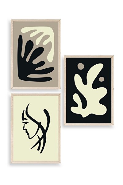 CT STONES Abstract Triple Wooden Framed Painting