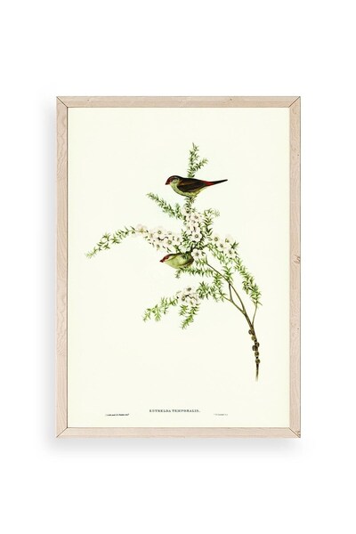 CT STONES Bird on the Branch Wooden Framed Painting