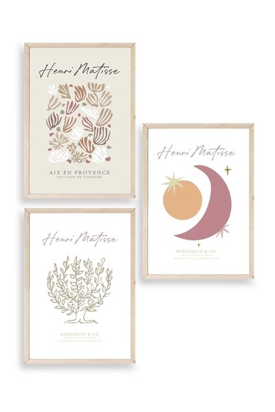 CT STONES Matisse Triple Wooden Framed Painting