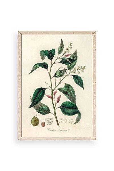 CT STONES Leaf Wooden Framed Table