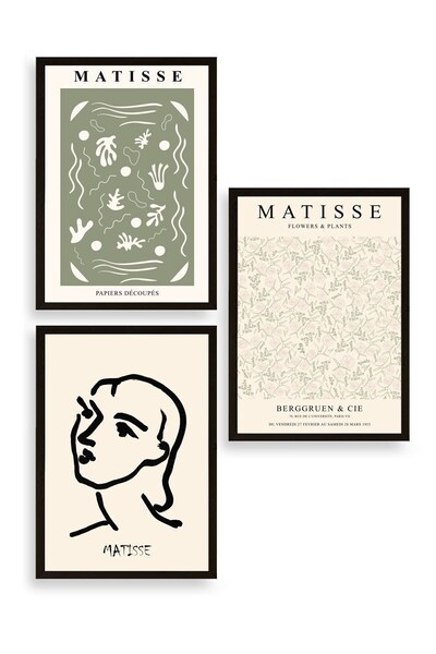 CT STONES Matisse Triple Wooden Framed Painting