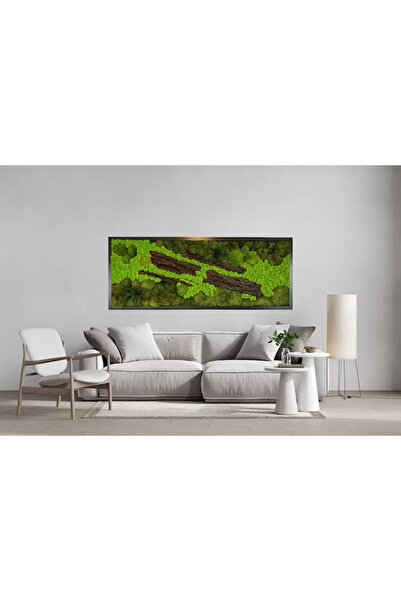 Narium Tablou cu mușchi stabilizat 100x50 cm