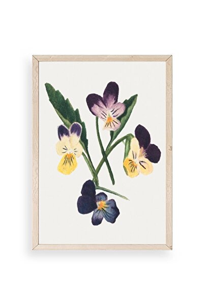 CT STONES Flowers Wooden Framed Painting