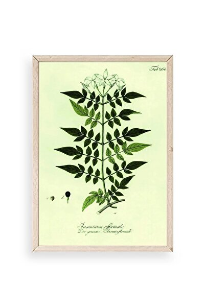 CT STONES Leaves Wooden Framed Painting