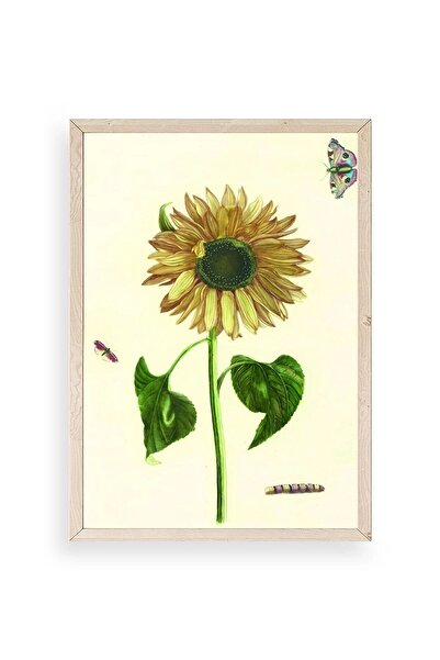 CT STONES Sunflower Wooden Framed Painting