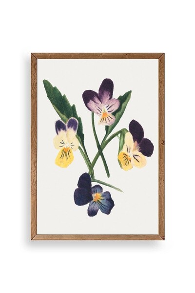 CT STONES Flowers Wooden Framed Painting