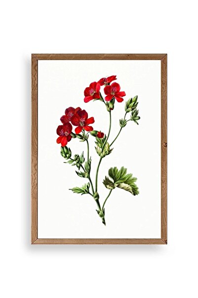 CT STONES Flowers Wooden Framed Painting