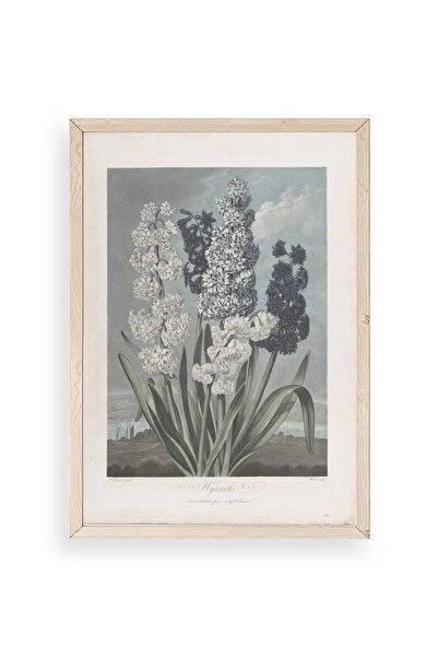 CT STONES Legendarte Canvas Art Print with Wooden Frame