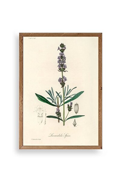 CT STONES Leaf Wooden Framed Table