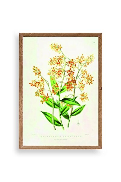 CT STONES Flower Wooden Framed Painting