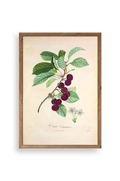 CT STONES Fruits Wooden Framed Painting