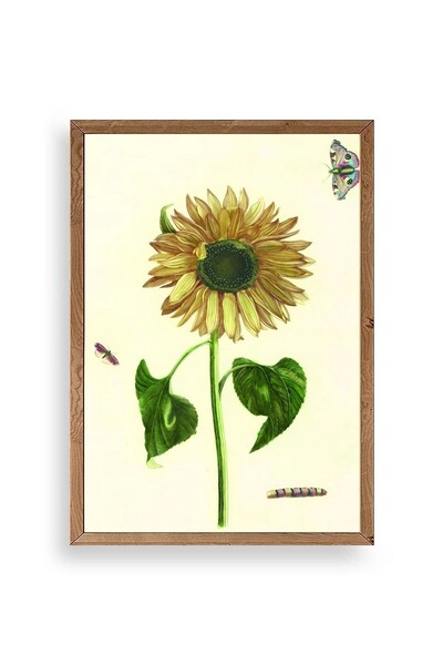 CT STONES Sunflower Wooden Framed Painting