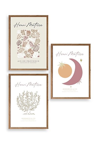 CT STONES Matisse Triple Wooden Framed Painting