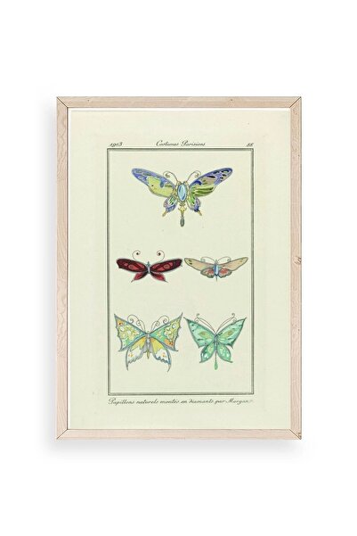 CT STONES Butterfly Wooden Framed Painting