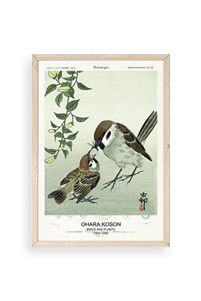 CT STONES Birds Wooden Framed Painting