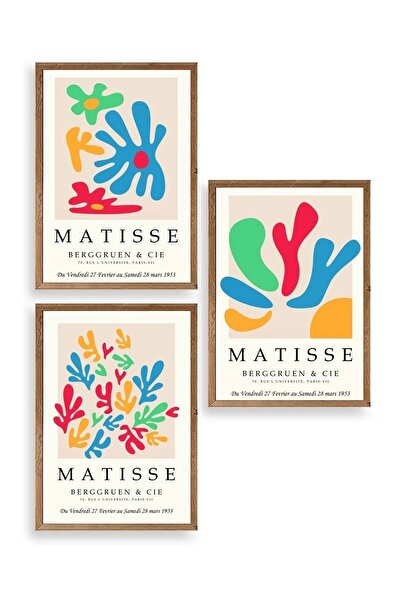 CT STONES Matisse Triple Wooden Framed Painting