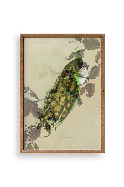 CT STONES Bird Wooden Framed Painting