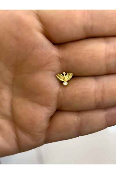 Hicrans Takı ANKA KUŞU MODEL HELİX TRAGUS ÇELİK KÜPE