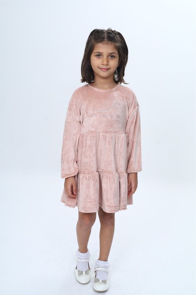 Toontoy Girl's Embroidered Dress