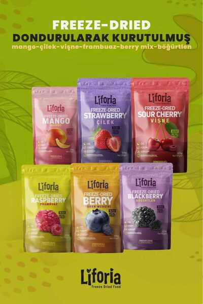 Liforia 6’lı Dondurulmuş Meyve - Sağlıklı Atıştırmalık - Mango Çilek Vişne Frambuaz Yaban Mersini Böğürtlen