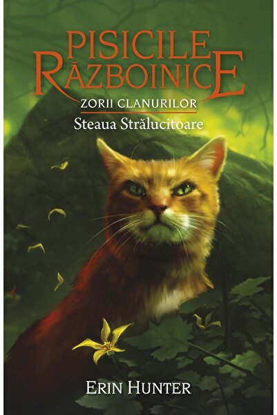 Editura All Pisicile Razboinice. Cartea a XXVIII-a: Zorii clan