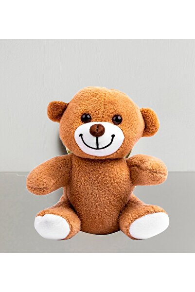 Peluş Ayıcık