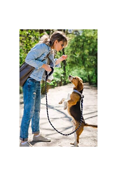 EFRUNS Pet Reflective Wick Walking Collar 8 mm X 120 cm