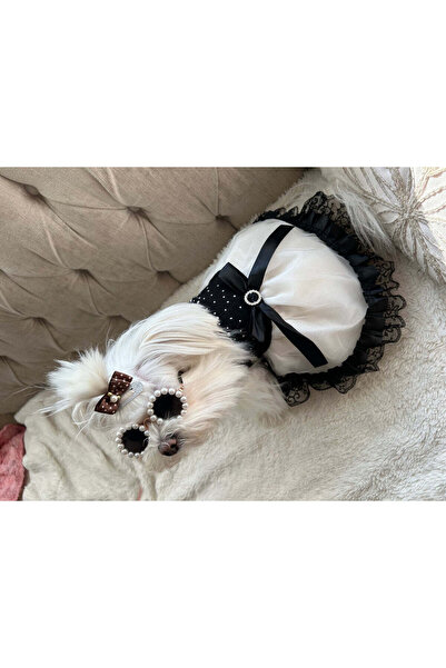 SSMEDIA Εορταστικό Φόρεμα για Μικρά Σκυλιά, Γάτες ή Άλλα Κατοικίδια - Μαύρο