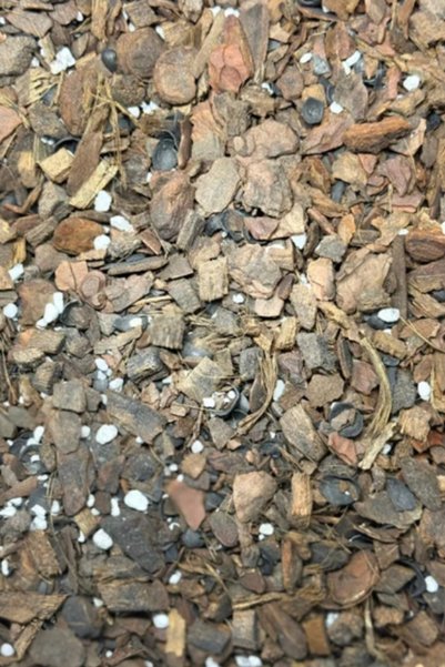 Minik Orman Botanik Orkide Işıltısı - Orkideler İçin Özel Toprak Karışımı 3 Litre