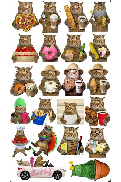 BENİMSER REKLAM مجموعة ملصقات مضحكة بتصميم القطط - 22×30 سم |   ملصقات ممتعة، متوافقة مع أجهزة الكمبيوتر المحمولة والقوارير