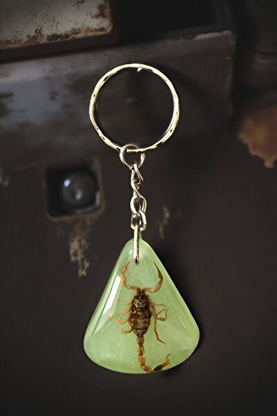 TESBİH-i DiYAR Orijinal kehribar taşı Akrep fosil anahtarlık