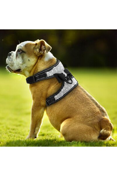 Nonbranded Κολάρο τύπου κοσμήματος με βότσαλα και φιόγκο, για σκύλους/σκύλες, γάτες ή άλλα ζώα