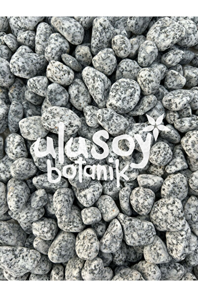 Ulusoy Botanik Benekli Dolomit Taş / Granit Taşı / Dekoratif Siyah-Beyaz Taş ...