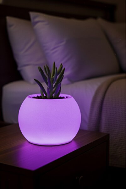 LOFONY Moon Şarjlı Dekoratif Masaüstü Işıklı Lamba Saksı (RGB-Çok Renkli)